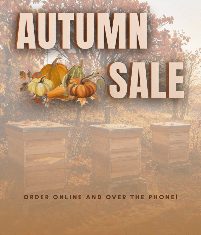 Autumn Sale 2026