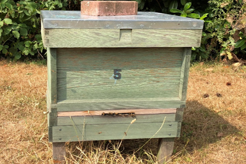 Beekeeping Blog - July 2018