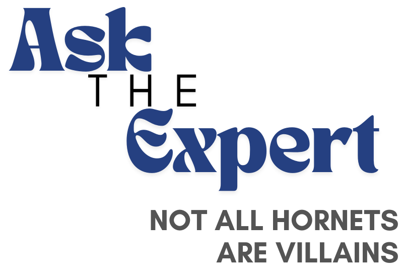 Not all Hornets are villains