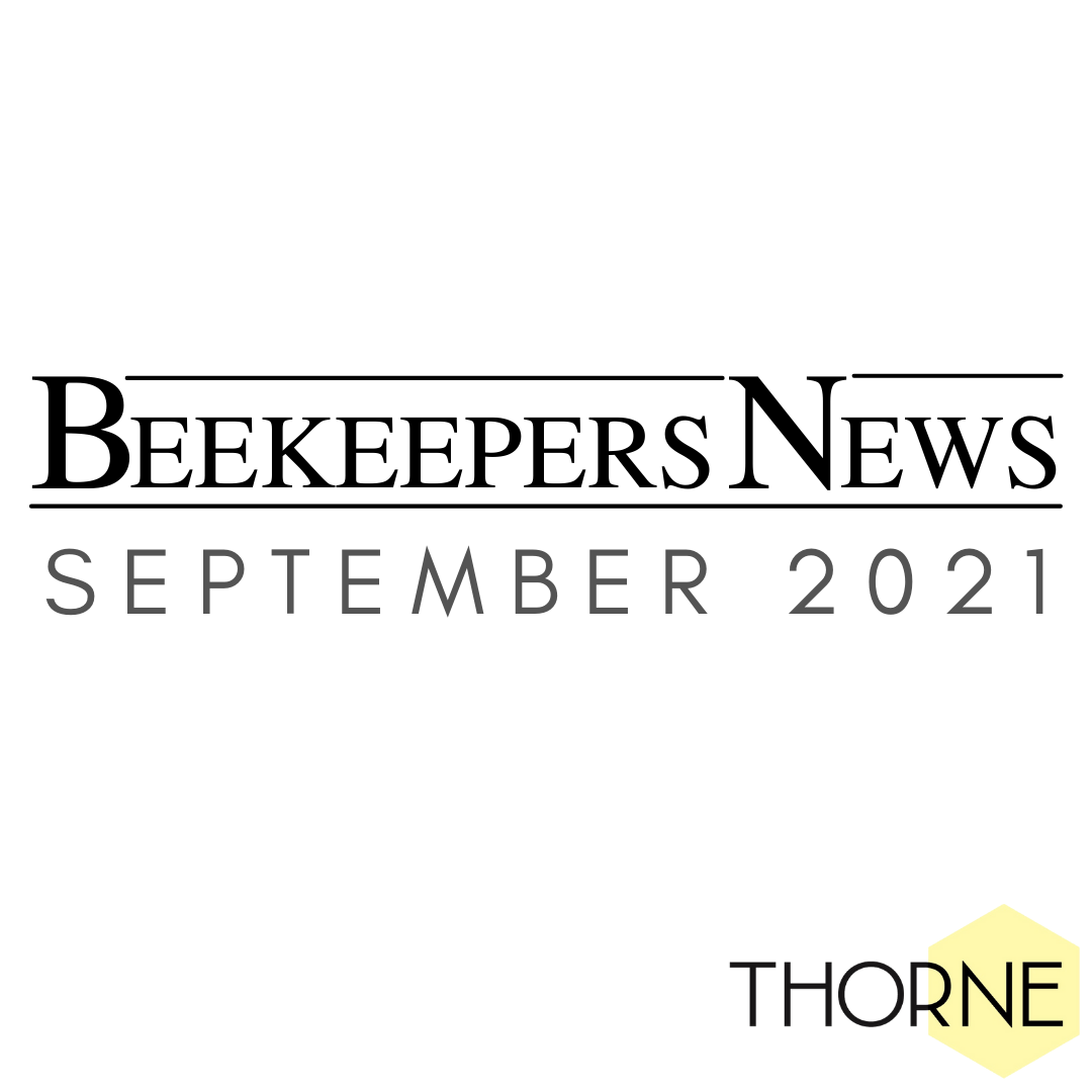 Beekeepers News - September 2021 - Issue 60
