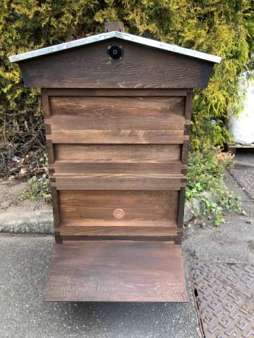 Oak Stained Hive