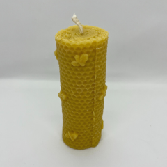 TS18 - Large Honeycomb with Bees.png