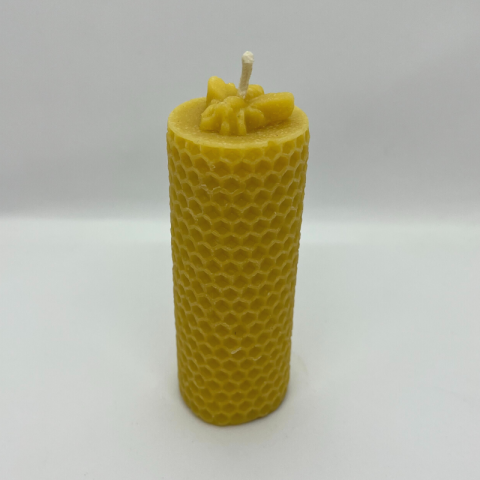TS40 - Bee Topped Honeycomb.png