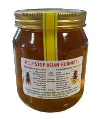 Asian Hornet Rectangle Label.png