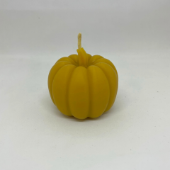 TS577 Pumpkin.png