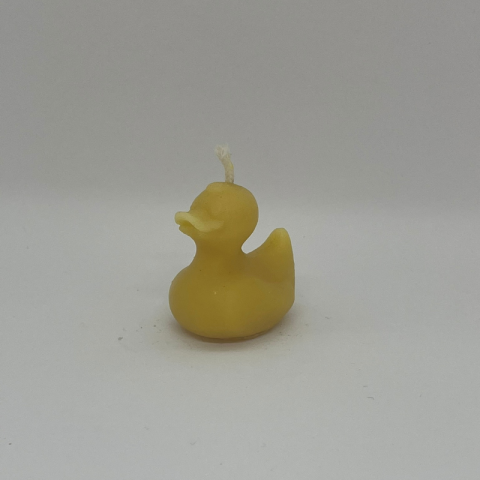 TS156 - Rubber Duck.png