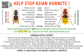 Asian Hornet warning Granulation LG with QR.png