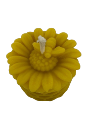 Flower Top No BG 2.png