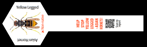 L981-A.png