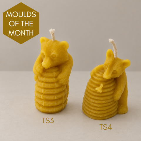 Mould of the Month - Website Images (3).png